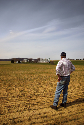 Man looks at his farm buildings