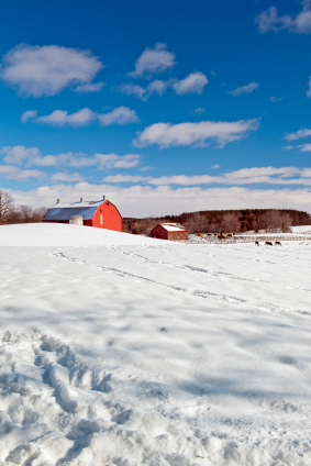 Harsh climates call for strong building structures